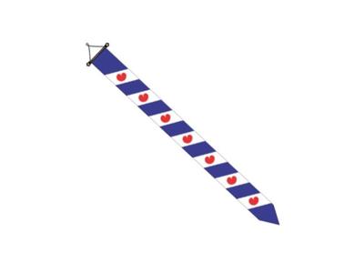 Dokkumer Vlaggen Centrale Wimpel friesland 30x400 cm