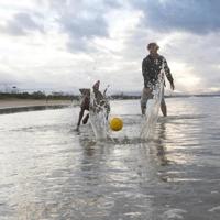 Waboba Pet Fetch Ball - thumbnail