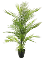 Areca dypsis in pot green 93cm - thumbnail