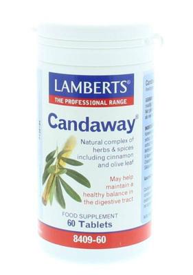 Lamberts Candaway Tabletten