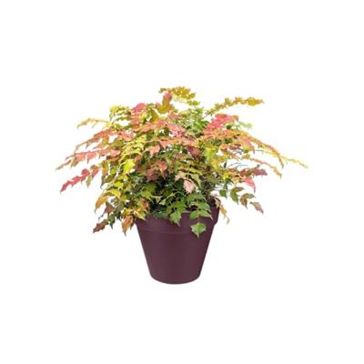 Elho loft urban bloempot rond 25 cm warm grey