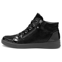 Ara 1224499 - alle - thumbnail