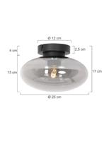 Steinhauer Plafondlamp reflexion Ø 25 cm 3387 zwart - thumbnail