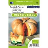 Pompoenzaden Musquee de Provence BIO - thumbnail