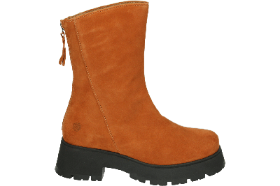 Apple of Eden ARYA 10 - alle