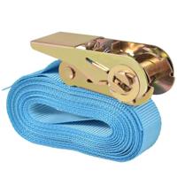VidaXL Spanbanden 0,8 ton 6mx25mm blauw 4 st - thumbnail