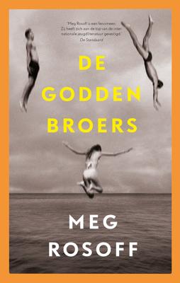 De Godden broers - Meg Rosoff - ebook