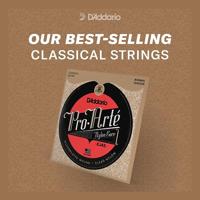 D&apos;Addario EJ44TT Pro-Arte Dynacore Titanium Trebles Extra-Hard Tension snaren voor klassieke gitaar - thumbnail