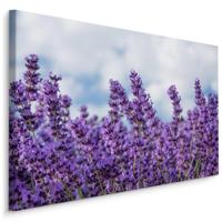 Schilderij - Lavendel in het Veld, Premium Print, 5 maten - thumbnail