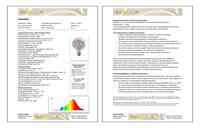 LED Globe lamp 6W 250 lumen 2000K E27 grijs dimbaar filament Segula - thumbnail