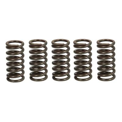 TRW koppelingsveren set clutch spring kit mef352-5