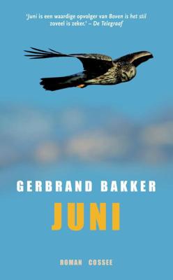 Juni - Gerbrand Bakker - ebook