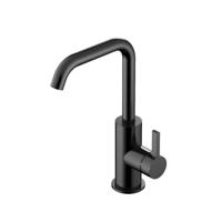 Wastafelmengkraan Hotbath Ace Met Draaibare Uitloop Gebogen 24 cm Gepolijst Zwart PVD - thumbnail