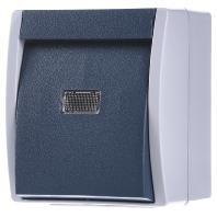 Busch-Jaeger 2621 W-53-206 Ocean (opbouw) Knop spatwaterdicht Blauw, Groen - thumbnail