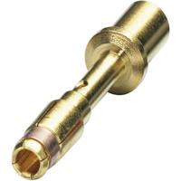 Crimpcontact voor serie P30 1605643 SF-7QS2000 Goud Phoenix Contact Inhoud: 1 stuk(s) - thumbnail
