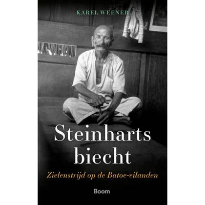Steinharts biecht (Paperback)
