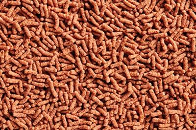 Oase DYNAMIX Sticks Colour 20L - Kleurversterkend Visvoer voor Gezonde Vijvervissen