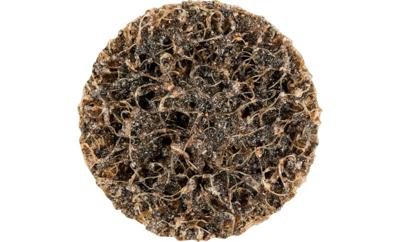 PFERD TOOLS 42761251 Schuurschijf Diameter 25 mm PFERD TOOLS 42761251 Schuurschijf Diameter 25 mm