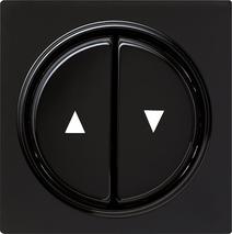 GIRA WIP 2X JAL PYLSYMB ZW SC