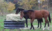 Hay Ring Feeder Ø 124/128 cm - thumbnail
