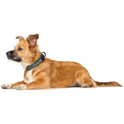 HUNTER Hondenhalsband Maldon, donkergroen/grijs, Maat: M