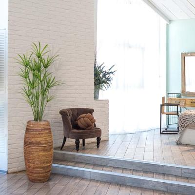 Papyrus deluxe kunstplant 135cm Papyrus deluxe kunstplant 135cm