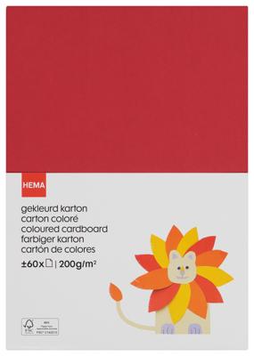 HEMA Gekleurd knutselkarton - 60 stuks