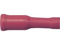 Sinuslive Car-HiFi bol kabelschoenhuls Set van 10 stuks 1.5 mm² 4 mm Verguld - thumbnail