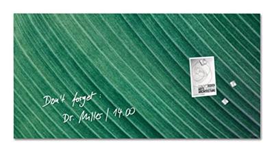 Sigel SI-GL371 Glasmagneetbord Artverum Palm Leaf 91x46 cm Groen - thumbnail