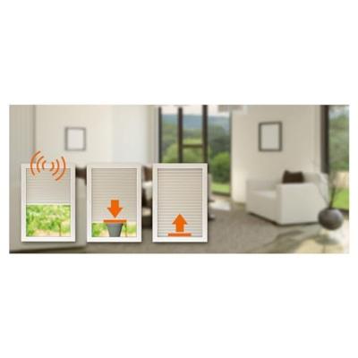 Kaiser Nienhaus 140020 Mercato Favorit Draadloze buismotor 433 MHz 60 mm 145 W 20 Nm Kaiser Nienhaus 140020 Mercato Favorit Draadloze buismotor 433 MHz 60 mm 145 W 20 Nm