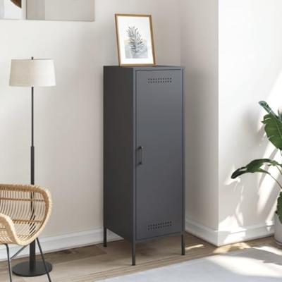 Hoge kast 36x39x113 cm staal antracietkleurig