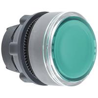 Schneider Electric ZB5AA38C0 Frontelement voor druktoets 1 stuk(s) - thumbnail