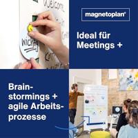 magnetoplan Presentatiekaart 6-kleurig Rond 100 mm 500 stuk(s) - thumbnail