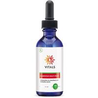 Elementair Multi-Trace - thumbnail