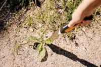Fiskars 1027046 Onkruidsteker - thumbnail