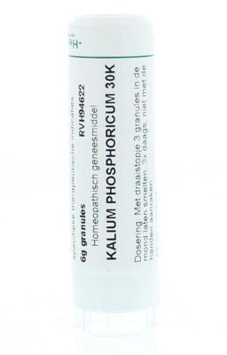 Homeoden Heel Kalium phosphoricum 30K 6 Gram Homeoden Heel Kalium phosphoricum 30K 6 Gram