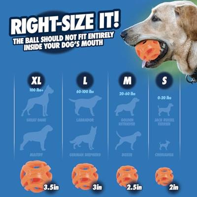 CHUCKIT BREATHE RIGHT FETCH BAL ORANJE