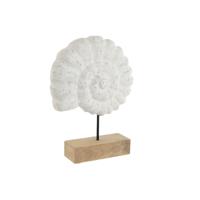 Decoratieve figuren Home ESPRIT Wit Natuurlijk Mediterrane Schelp 29 x 7,5 x 38,5 cm - thumbnail