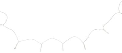 HEMA Lichtsnoer 2.1m met 20 LED lampjes voor binnen (wit)