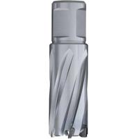 Euroboor kernboor tct 12 mm x 35 mm welnit shank - hmsu.120 - thumbnail
