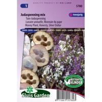 Tuin-Judaspenning bloemzaden – Judaspenning mix - thumbnail