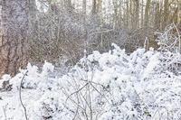 BeamZ SNOW5000 professionele sneeuwmachine - thumbnail