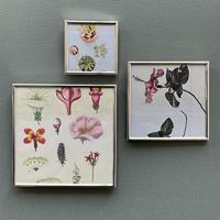 Zilverstad 6149660 Wissellijst Papierformaat: 15 x 15 cm Zilver - thumbnail