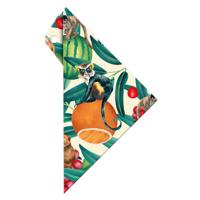 Aristo AR-18001B Geocover Incl. Geodrie-hoek 16cm Tropic Life - thumbnail