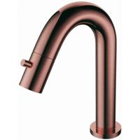 Toiletkraan - Fonteinkraan - Koudwaterkraan 1/2 - Leoni Coldy - Opbouw - RVS - Geborsteld Koper - thumbnail