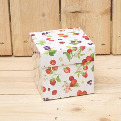 Bonbon doosjes - Chocolade doosje - Zomerfruit KUBUS - 24 stuks