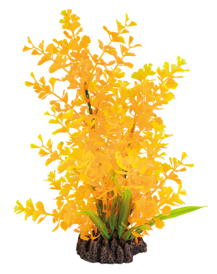 Sf art plant 25 cm ludwigia orange Superfish - Superfish