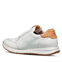 Paul Green 4085 - alle - thumbnail