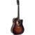 Sigma Guitars DTC-1E Sunburst Gloss elektrisch-akoestische westerngitaar Sigma Guitars DTC-1E Sunburst Gloss elektrisch-akoestische westerngitaar