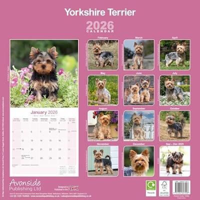 Yorkshire Terrier Kalender 2026 Yorkshire Terrier Kalender 2026